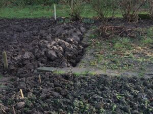 Alle tuinonderhoud